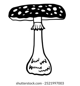 Fly agaric illustration. black and white line drawing of mushroom with a broad, domed cap adorned with white spots for poster, banner, recipe card, food package design