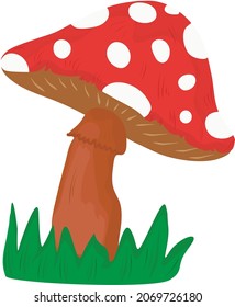 fly agaric illustration in vector, mushrooms in vector, dangerous mushrooms, cartoon pictures in vector