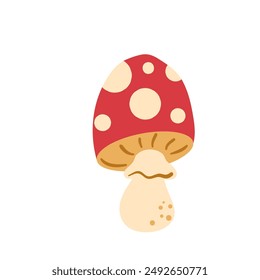 Fly agaric isolated on white background. Amanita muscaria Vector hand drawn illustration