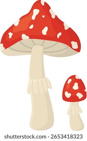 Fly agaric isolated on white background.  Hand drawn illustration of red and white mushroom 