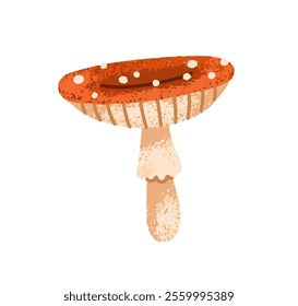 Fly agaric mushroom. Amanita, red spotted cap and stalk, toxic forest fungus. Autumn botanical element, fall seasonal decoration. Flat graphic vector illustration isolated on white background