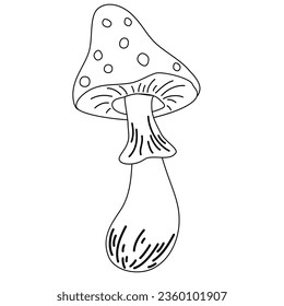 Fly agaric mushroom contour. Line and cartoon vector illustration for kids coloring page and book. Inedible mushroom isolated on white background