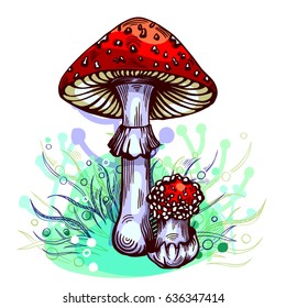 Fly agaric mushroom with grass on background in engraved style. Vector illustration.