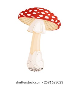 Fly agaric mushroom. Hand drawn trendy flat style isolated icon. Poisonous toadstool Amanita Muscaria, Inedible mushroom. Magic mushroom symbol autumn and summer woodlander. Vector illustration