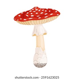 Fly agaric mushroom. Hand drawn trendy flat style isolated icon. Poisonous toadstool Amanita Muscaria, Inedible mushroom. Magic mushroom symbol autumn and summer woodlander. Vector illustration