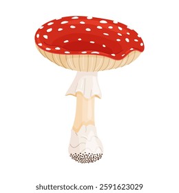 Fly agaric mushroom. Hand drawn trendy flat style isolated icon. Poisonous toadstool Amanita Muscaria, Inedible mushroom. Magic mushroom symbol autumn and summer woodlander. Vector illustration