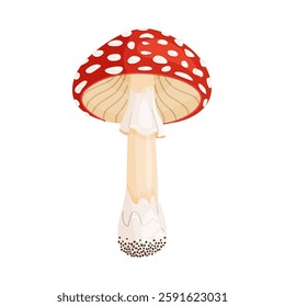 Fly agaric mushroom. Hand drawn trendy flat style isolated icon. Poisonous toadstool Amanita Muscaria, Inedible mushroom. Magic mushroom symbol autumn and summer woodlander. Vector illustration