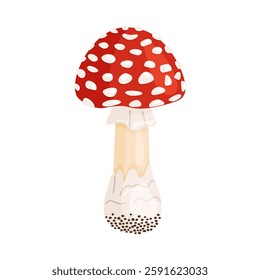 Fly agaric mushroom. Hand drawn trendy flat style isolated icon. Poisonous toadstool Amanita Muscaria, Inedible mushroom. Magic mushroom symbol autumn and summer woodlander. Vector illustration