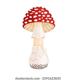 Fly agaric mushroom. Hand drawn trendy flat style isolated icon. Poisonous toadstool Amanita Muscaria, Inedible mushroom. Magic mushroom symbol autumn and summer woodlander. Vector illustration