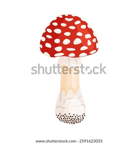 Fly agaric mushroom. Hand drawn trendy flat style isolated icon. Poisonous toadstool Amanita Muscaria, Inedible mushroom. Magic mushroom symbol autumn and summer woodlander. Vector illustration
