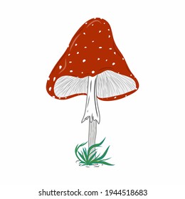 Fly agaric mushroom illustration. Colorful nature. Fungi. Idea for decors, picture in frame, gifts, ornaments, celebrations, invitation, greeting, logo, autumn holidays, environment themes.