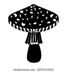 Fly agaric mushroom in outline style. Edible Organic mushrooms. Truffle brown cap. Forest wild mushrooms types. Vector illustration isolated on white background.