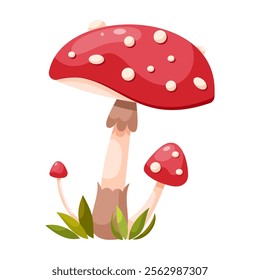 Fly agaric mushroom. Poisonous forest mushroom. Forest grass and leaves. Cartoon vector illustration on a white background.