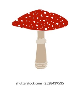 Cogumelo de mosca agárico com chapéu vermelho e pontos brancos, cogumelo Amanita muscaria, ilustração isolada de vetor de desenhos animados.