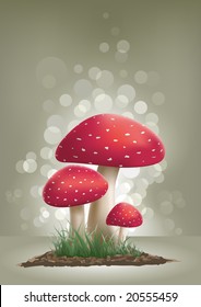 Fly Agaric Mushroom vector illustration.