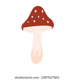 fly agaric. mushroom. vector illustration of fly agaric mushroom.
