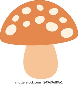 Fly Agaric Mushroom Vector Illustration