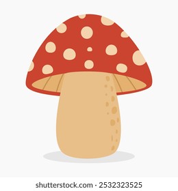 Ilustração do vetor do cogumelo agárico da mosca isolada no fundo branco	