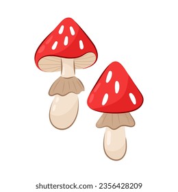 
Fly agaric mushrooms in flat style. Vector illustration of poisonous mushrooms on a white background.