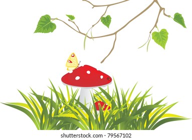 Fly agaric mushrooms in grass and birch sprig. Vector