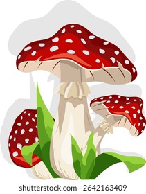 Fly agaric mushrooms in illustration.Vector illustration with fly agarics and green leaves on transparent background with shadow.