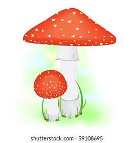 Fly agaric mushrooms on green grass