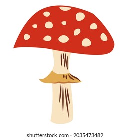 Fly agaric mushrooms on a white background. Poisonous forest mushroom. Isolated vector illustration on a white.