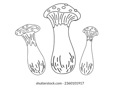 El contorno de las setas de la huerta agria. Dibujo de doodle de contorno vectorial de todo el campeón para el diseño de menús retro vintage, volante, envoltura.