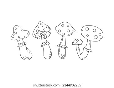 Fly agaric mushrooms. Poison mushrooms. Vector illustration, doodle. Isolated background.