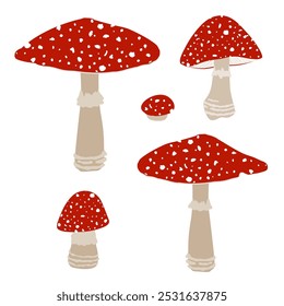 Mosca cogumelos agáricos set. Coleção de cogumelos Amanita muscaria, ilustração isolada de vetor de desenho animado