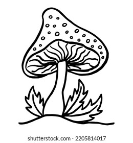 Fly agaric, non-edible poisonous forest mushrooms sketch vector illustration isolated.