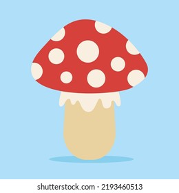fly agaric on a blue background