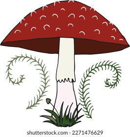 Fly agaric poisonous mushroom. Forest toadstool. Fly agaric isolated.