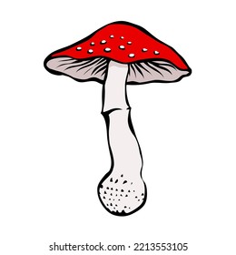 Fly agaric and red cap  Poisonous mushroom  Cartoon vector art illustration isolated white background  Hand drawn line sketch