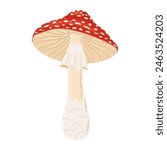 Fly agaric red poison mushroom. Hand drawn Amanita muscaria. Hallucinogenic, psychedelic forest mushroom. Trendy flat style magic fungus isolated on white. Vector illustration