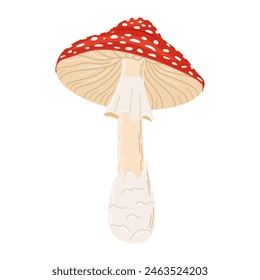 Fly agaric red poison mushroom. Hand drawn Amanita muscaria. Hallucinogenic, psychedelic forest mushroom. Trendy flat style magic fungus isolated on white. Vector illustration