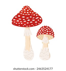 Fly agaric red poison mushrooms. Big and small mushroom Hand drawn Amanita muscaria. Hallucinogenic, psychedelic forest mushroom. Trendy flat style magic fungus isolated on white. Vector illustration