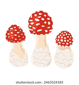 Volar setas venenosas de color rojo agárico. Hongo grande y Pequeño dibujado a mano Amanita muscaria. Hongo de bosque alucinógeno y psicodélico. Hongo mágico de estilo plano de moda aislado en blanco. Ilustración vectorial