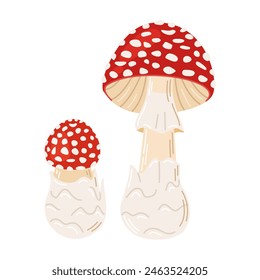 Volar setas venenosas de color rojo agárico. Hongo grande y Pequeño dibujado a mano Amanita muscaria. Hongo de bosque alucinógeno y psicodélico. Hongo mágico de estilo plano de moda aislado en blanco. Ilustración vectorial