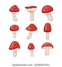 fly agaric set cartoon. spring red, forest autumn, simple toadstool fly agaric sign. isolated symbol vector illustration