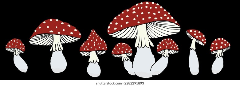 Fly agaric set on a black background. Vector illustration.