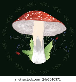 fly agaric surrounded by plants on a black background