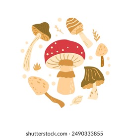 Fly agaric and toadstool round composition isolated on white background. inedible mushrooms circular badge. Vector hand drawn flat illustration