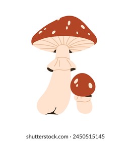 Fly agaric, toxic mushroom. Amanita muscaria, red spotted cap and stalk. Dangerous poisonous fungus. Big and small fungi, flyagaric. Botanical flat vector illustration isolated on white background