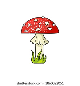 Fly agaric. Vector illustration in the cartoon style. Isolated on a white background.