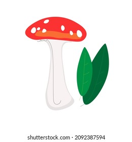 Fly agaric. Vector illustration on a white background.