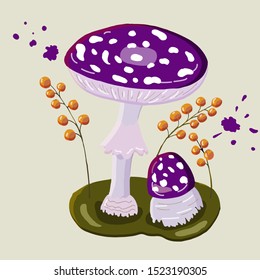 Fly agaric vector illustration. Poisonous mushrooms grow on green grass with berries. Purple and yellow colours