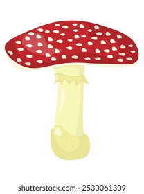 Fly agaric wild poisonous mushroom in flat style, element growing in the forest for education or design vector illustration