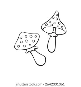 Fly agarics icons. Autumn seasonal outline mushrooms, elements isolated on white background in doodle style. Children illustration