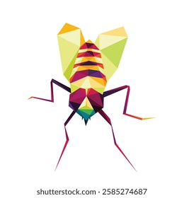 Fly Animal Insect in Colorful Polygonal Low Poly Vector. Fly Animal Front View in Colorful Abstract logo. Fly vector illustration